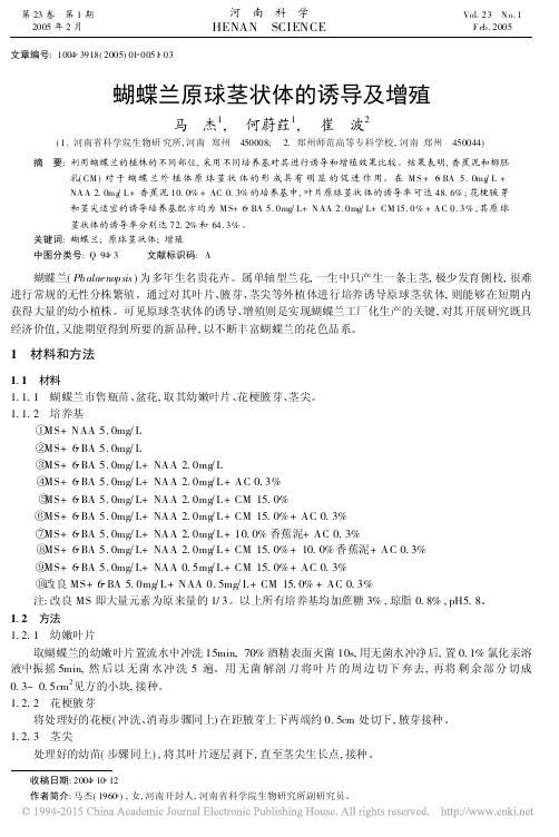 蝴蝶兰原球茎状体的诱导及增殖