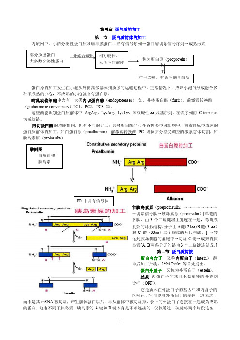 蛋白质加工——精选推荐