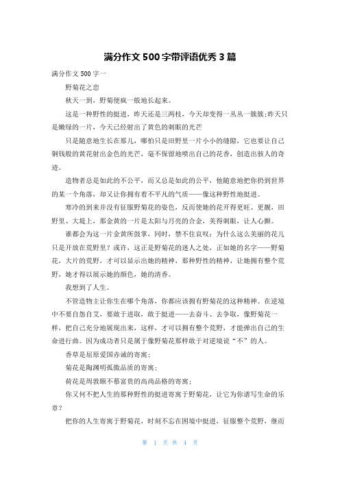 满分作文500字带评语优秀3篇