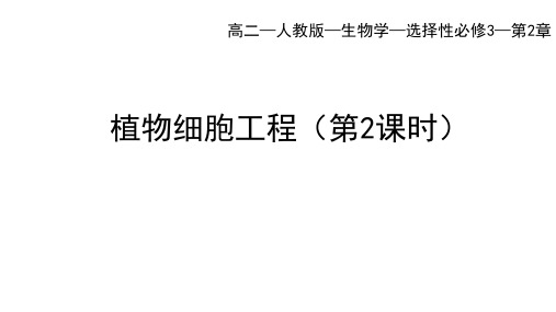 人教版高中生物选择性必修第3册 第2章 细胞工程 第1节 植物细胞工程(二)