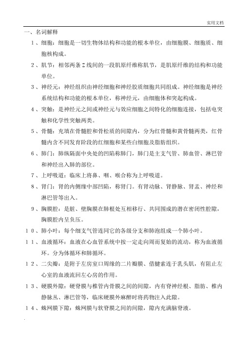 人体解剖生理学期末复习题参考答案