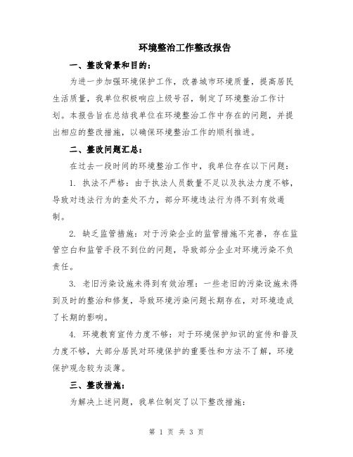 环境整治工作整改报告