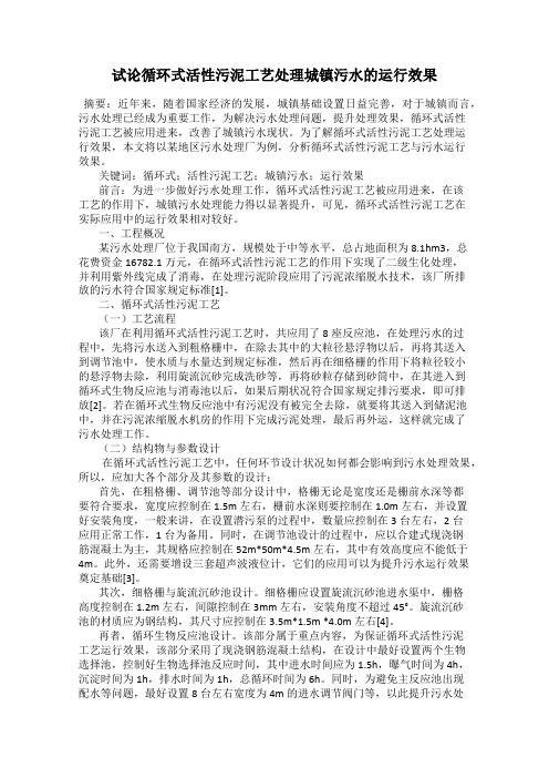 试论循环式活性污泥工艺处理城镇污水的运行效果