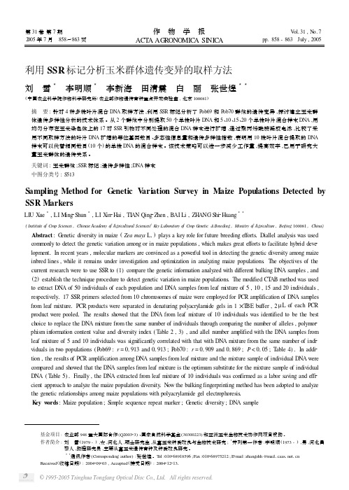 利用SSR标记分析玉米群体遗传变异的取样方法