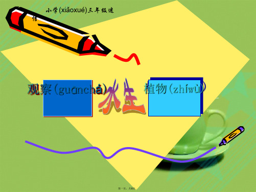 教科小学科学三上《1.4、观察水生植物》PPT课件(6)