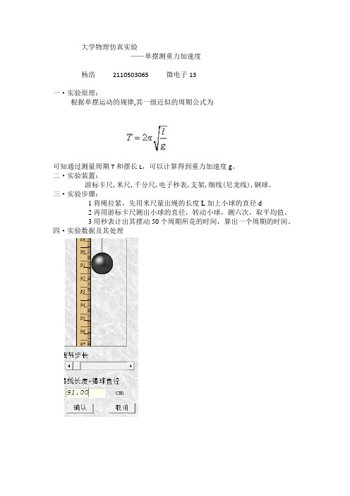 大学物理仿真实验