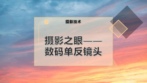 摄影之眼——数码单反镜头