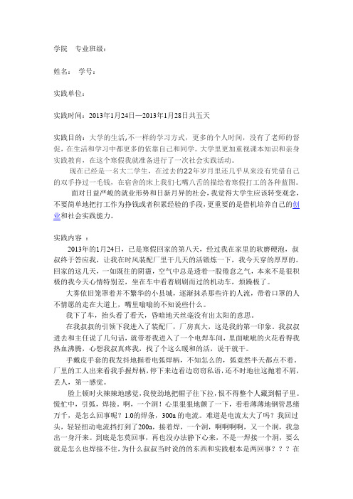 2013年寒假实践报告完整版