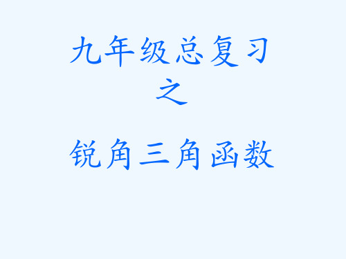 中考专题复习《锐角三角函数》