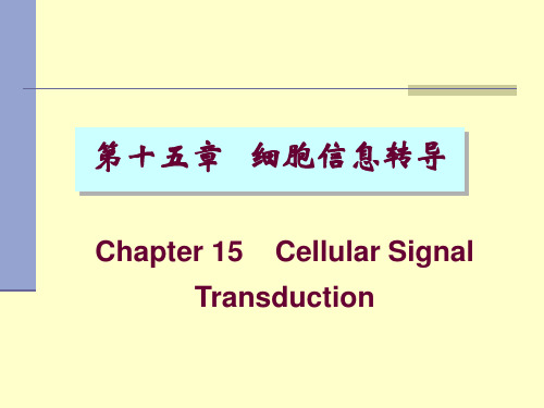 第十五章信号转导2010ppt课件