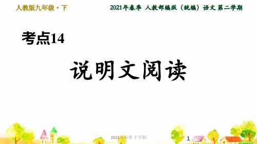 人教部编语文九年级下学期专项训练考点14 说明文阅读ppt