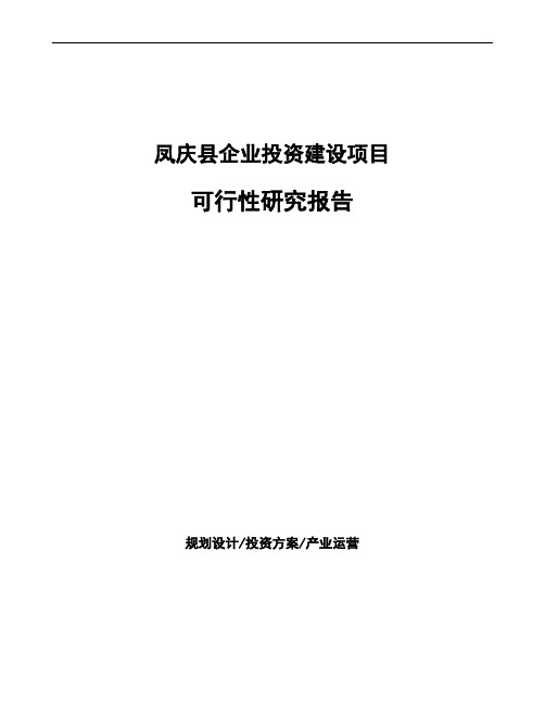 凤庆县项目可行性研究报告参考模板