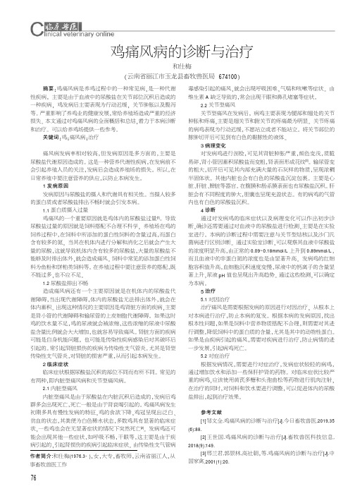 鸡痛风病的诊断与治疗