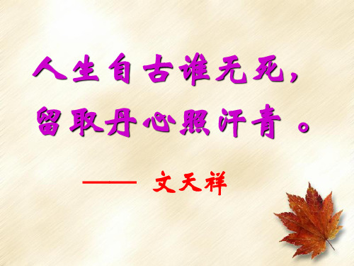 高中语文《留取丹心照汗青——文天祥千秋祭》PPT13