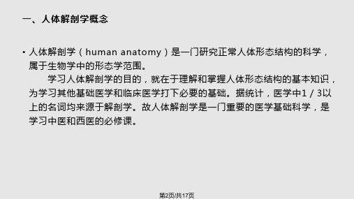 正常人体解剖学汇总