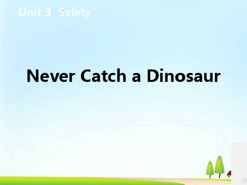 《Never Catch a Dinosaur》Safety PPT教学课件