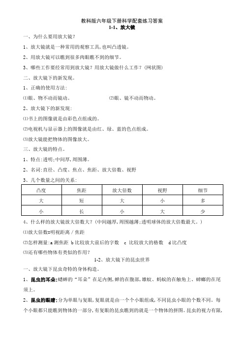 教科版六年级下册科学配套练习答案