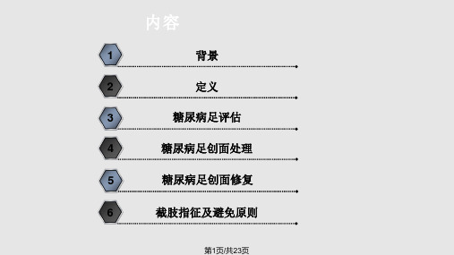 糖尿病足创面处理PPT课件