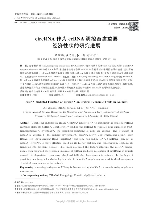 circRNA_作为ceRNA_调控畜禽重要经济性状的研究进展