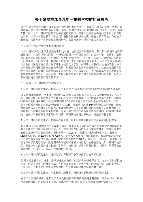 关于发展桃江县九年一贯制学校的粗浅思考