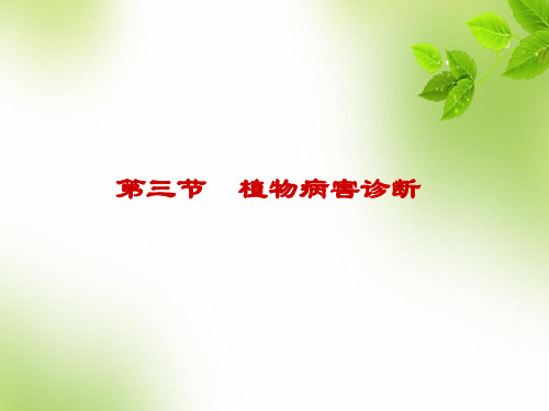 植物病害的诊断 PPT