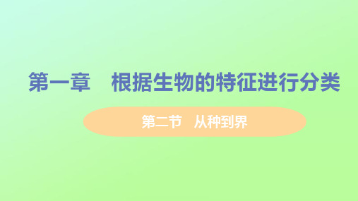 八年级生物上册-根据生物的特征进行分类第二节从种到界教学课件新版新人教版