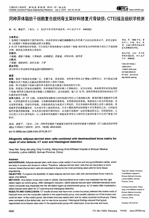 同种异体脂肪干细胞复合脱钙骨支架材料修复尺骨缺损：CT扫描及组