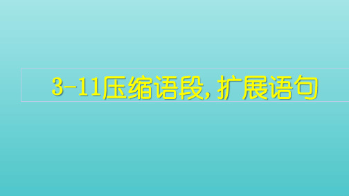 全国通用 高考语文复习  3语言文字运用11压缩语段扩展语句