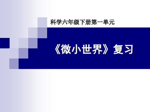 六年级下册科学课件第一单元复习课微小世界教科版(共40张PPT)