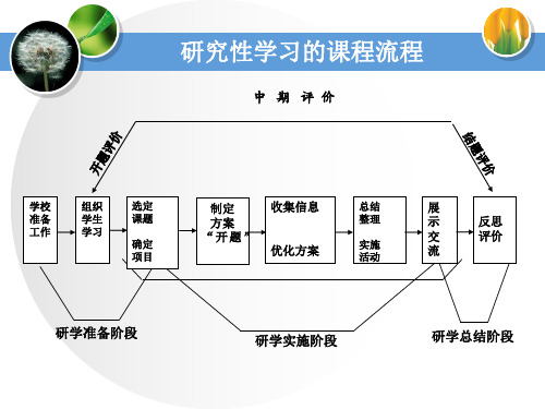 高中综合实践活动_研究性学习活动开题论证指导教学课件设计