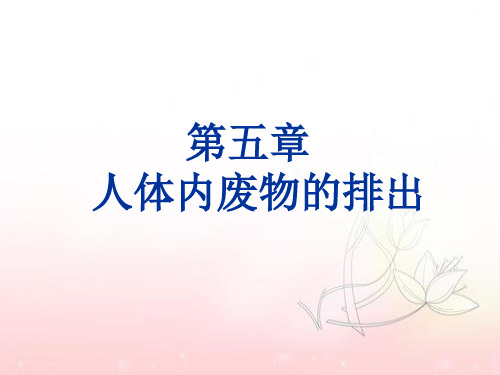 人教版初中生物七年级下册第四单元第五章 人体内废物的排出 课件