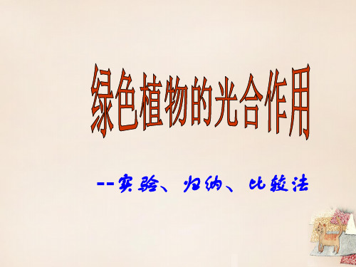 七年级生物上册 第二单元 第一章 第三节 绿色植物有光合作用复习课件 (新版)济南版