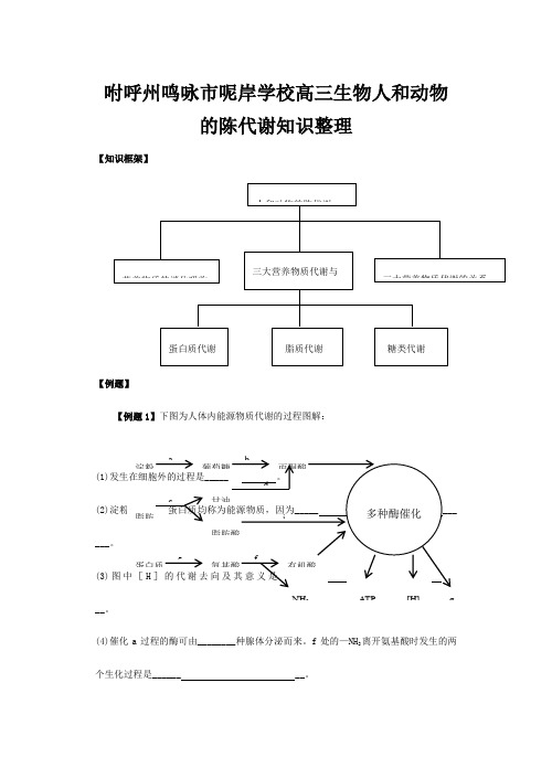 呢岸学校高三生物人和动物的陈代谢知识整理 