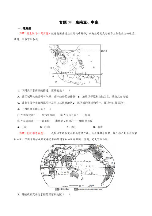 专题09东南亚、中东(专项练习)(原卷版+解析)