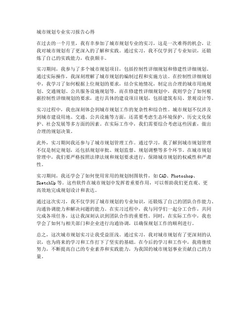 城规实习报告心得