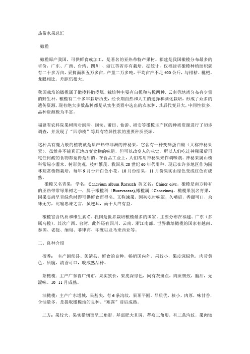 热带水果总汇