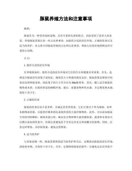 豚鼠养殖方法和注意事项