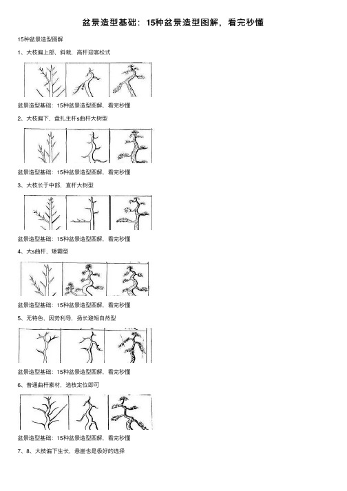 盆景造型基础：15种盆景造型图解，看完秒懂