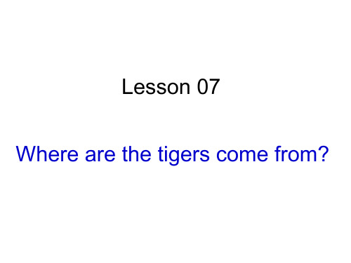 2018春六年级科普版英语下册lesson07《where are the tigers come from》ppt课件