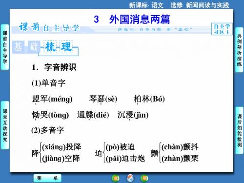 消息：带着露珠的新闻ppt15(5份) 人教课标版2