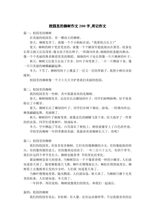 校园里的柳树作文200字_周记作文