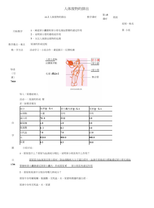 七年级生物下册112人体废物的排出学案(新版)苏教版.docx