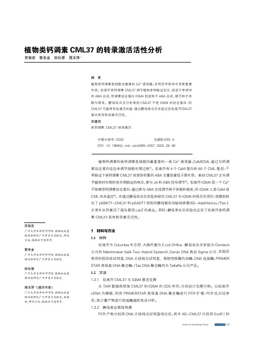 植物类钙调素CML37的转录激活活性分析