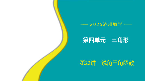 第22讲 锐角三角函数  课件 2025年九年级中考数学核心知识研究(四川省泸州)