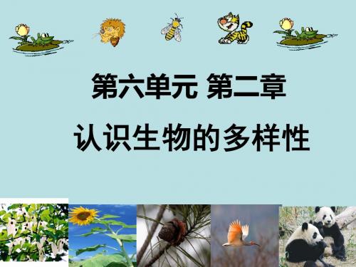 人教版认识生物的多样性课件(共23张PPT)