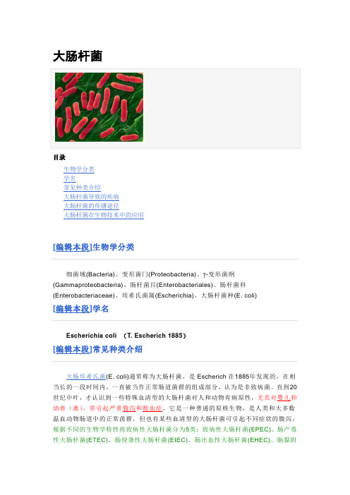 大肠杆菌