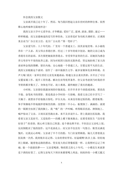 精选怀念我的父亲散文