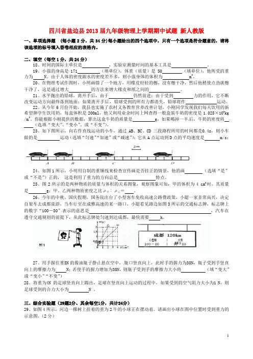 四川省盐边县九年级物理上学期期中试题 新人教版