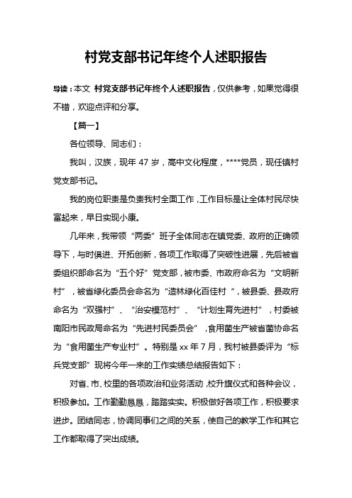 村党支部书记年终个人述职报告