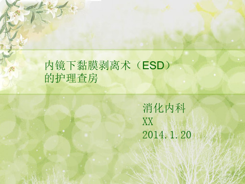 ESD术护理查房